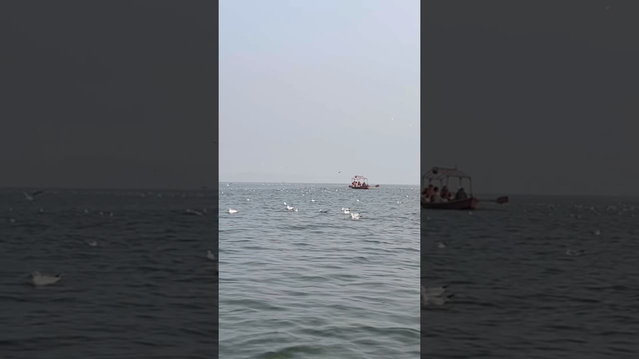 Triveni Sangam, #prayagraj #utterpradesh